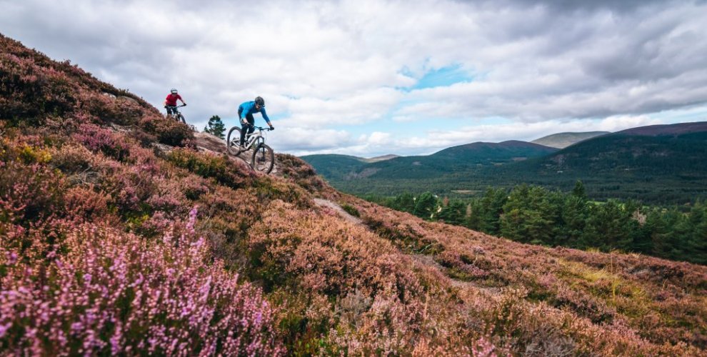 Mountain biking in Cairngorms, Scotland with heather and gorse