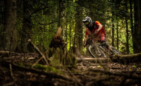 Forest trails in Samoens - MTB Beds