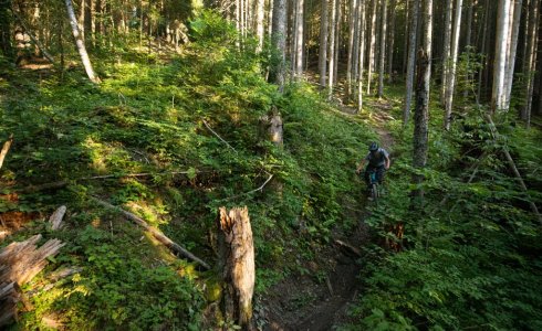 Morzine back country trails - MTB Beds
