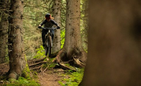 How much is a MTB guide