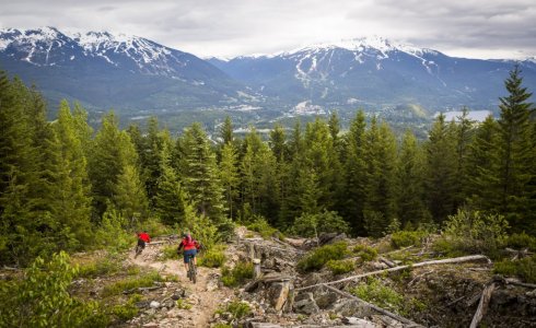 natural mountain bike trail in whistler