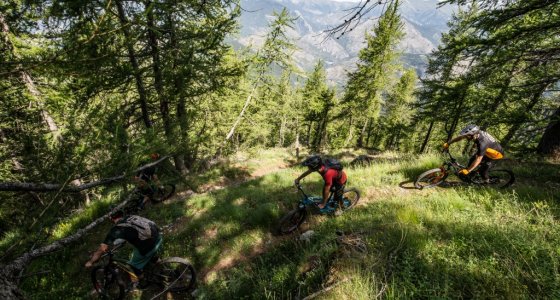 Roya Valley MTB Tour in France and Italy 