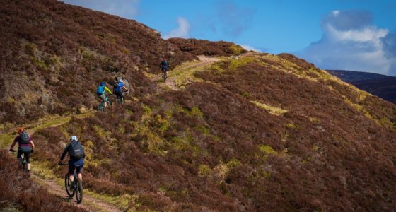 cairngorms mtb holiday