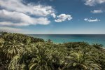 Sea view with palm trees Finale Ligure