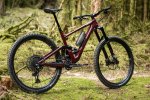 Specialized Mountain bike hire - MTB Beds
