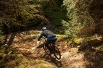 mountain bikes in the tweed valley